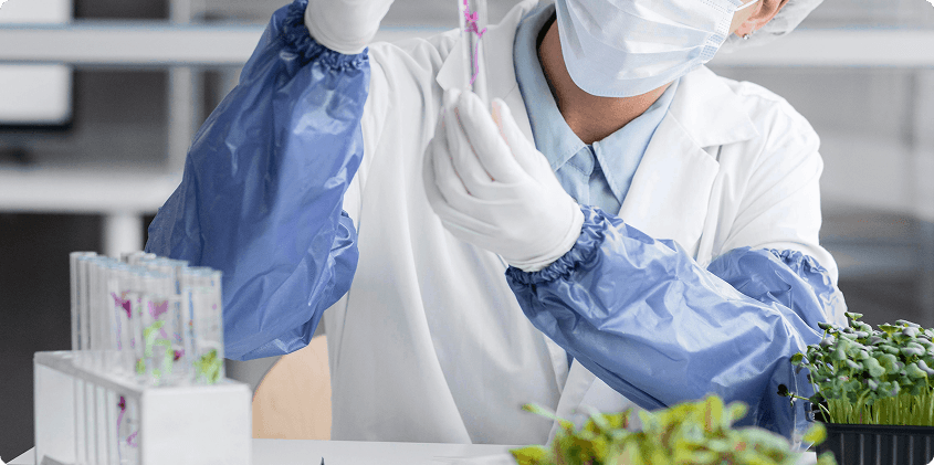 تقديم منتجات غذائية عالية الجودة منذ 1981